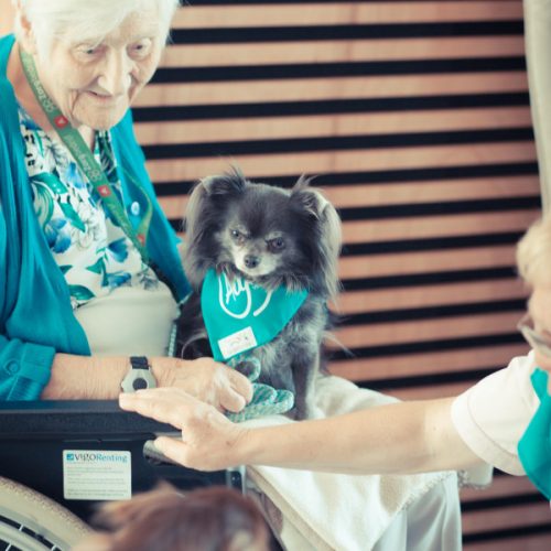 Dog at nursing home